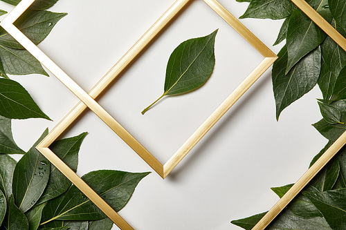 empty golden frames on white background with copy space and leaves