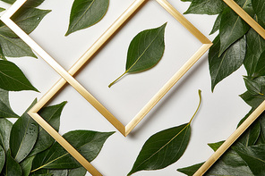 top view of golden frames on white background with green leaves
