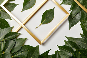 empty golden frames on white background with copy space and green leaves