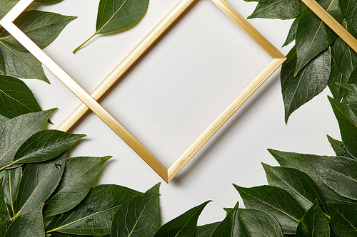 empty golden frames on white background with green leaves