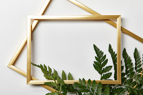 top view of empty golden frames on white background with copy space and fern leaves