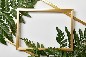 top view of golden frames on white background with copy space and fern green leaves
