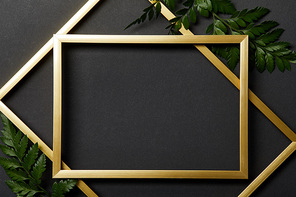 top view of empty golden frames on black background with copy space and green fern leaves