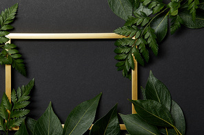top view of empty golden frame on black background with copy space and green fern leaves