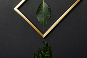 top view of empty golden frame on black background with copy space and leaves