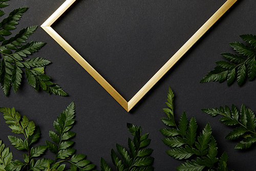 top view of empty golden frame on black background with green fern leaves