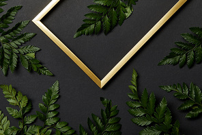 top view of golden frame on black background with fern leaves