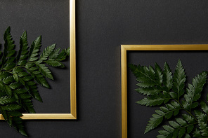 top view of golden frames on black background with green fern leaves