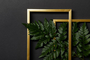 top view of golden frames on black background with copy space and green fern leaves