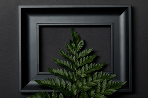 top view of empty black frame on black background with copy space and green fern leaf