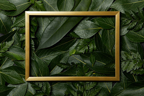 top view of golden frame on fresh leaves background