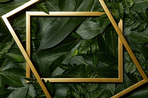 top view of golden frames on green leaves background