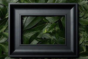top view of black frame on green leaves background