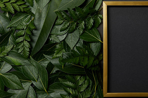 top view of empty golden frame near green leaves on black background with copy space