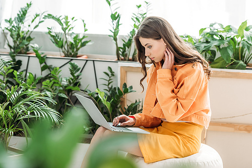 selective focus of attractive young woman using laptop while sitting on pouf surrounded by green plants at home