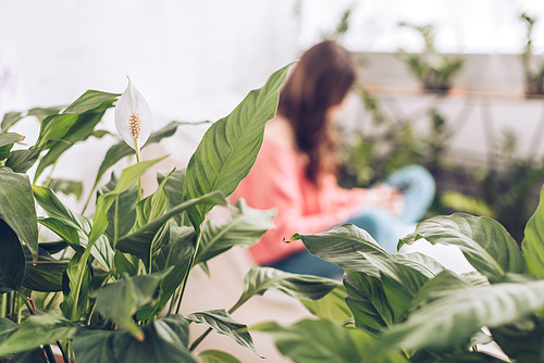 selective focus of young girl sitting in room with lush green plants