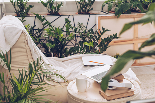 selective focus of laptop, headphones and coffee cup on pouf near soft chaise lounge surrounded by green plants