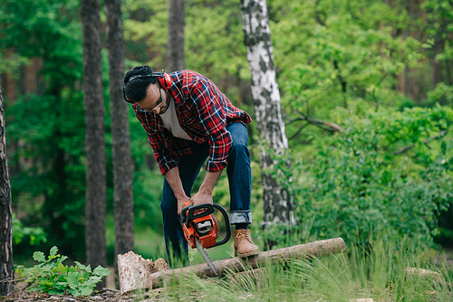 lumberjack in plaid shirt and denim jeans cutting wood with chainsaw in forest