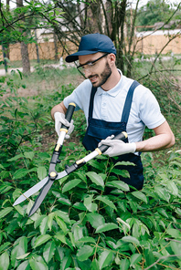 smiling gardener in protective glasses trimming bushes with pruner in park