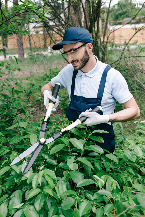 smiling gardener in protective glasses trimming bushes with pruner in park