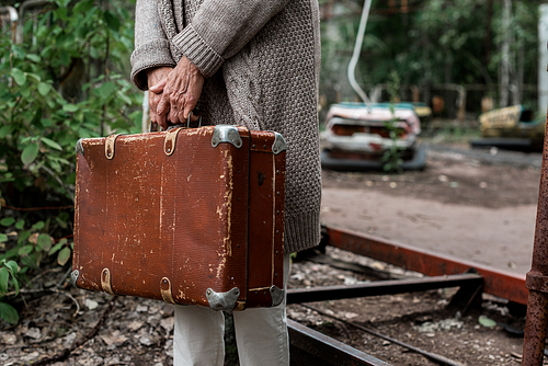 cropped view of retired woman holding suitcase in amusement park