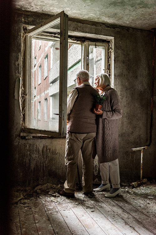 senior woman holding green plant and standing with husband near windows