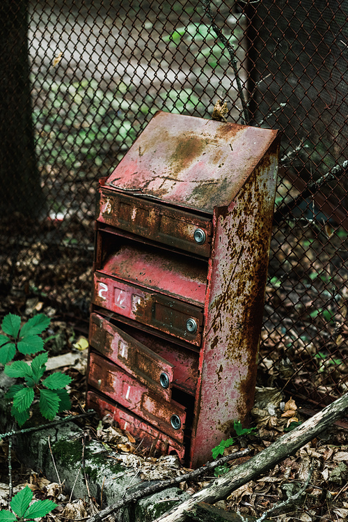 retro and rusty mail box near green leaves