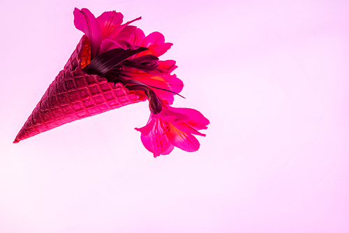 blooming flowers in sweet ice cream cone isolated on pink