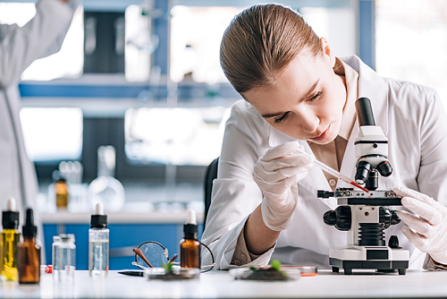 selective focus of attractive immunologist in latex gloves adding sample under glass of microscope