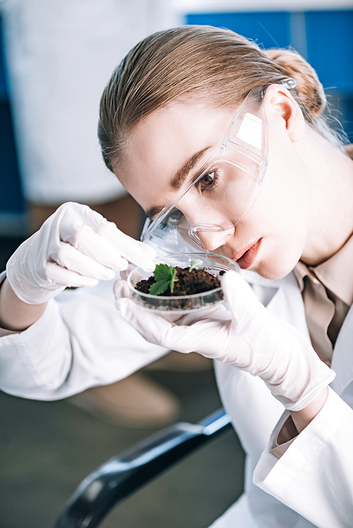 attractive biochemist in goggles looking at green plant