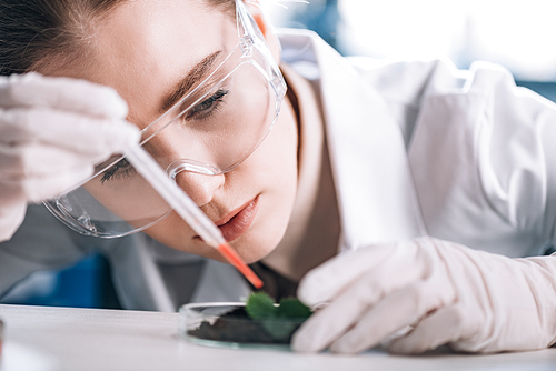 attractive biochemist in goggles holding pipette near green plant