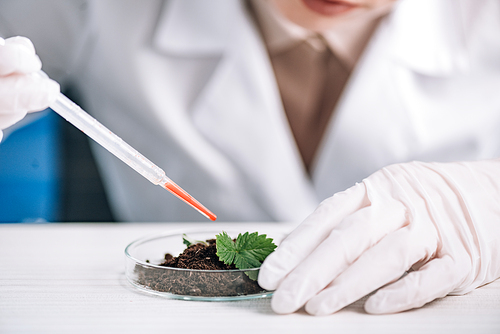 cropped view of biochemist holding pipette near green plant