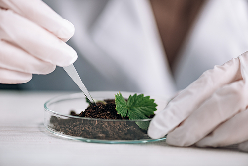 cropped view of biochemist holding pipette near green plant in ground