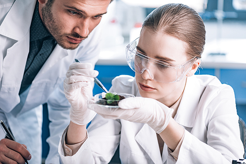 biochemist in goggles holding tweezers near green plant and coworker