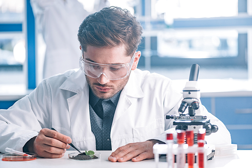 selective focus of biochemist in goggles holding tweezers near green plant and test tubes