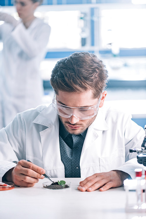 selective focus of handsome biochemist in goggles holding tweezers near green plant