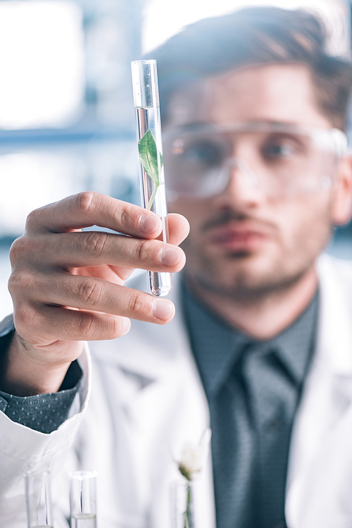 selective focus of handsome biochemist in goggles holding glass test tube with green plant