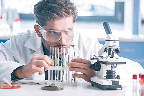 selective focus of handsome biochemist looking a test tubes with green plants near microscope