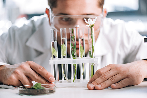 selective focus of bearded biochemist looking a test tubes with small plants near microscope