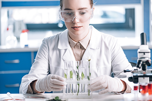 selective focus of attractive biochemist in goggles looking a test tubes with small plants near microscope