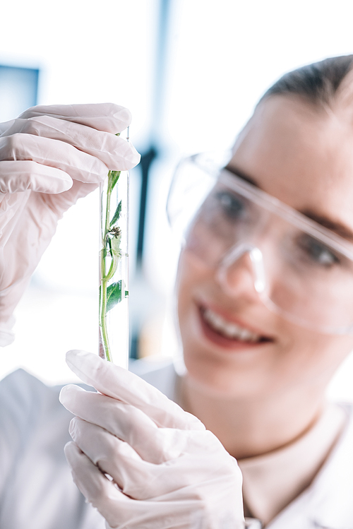 selective focus of cheerful woman in goggles holding test tube with small green plant