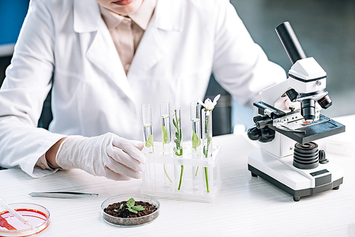 cropped view of biochemist near green plants and flower in test tubes