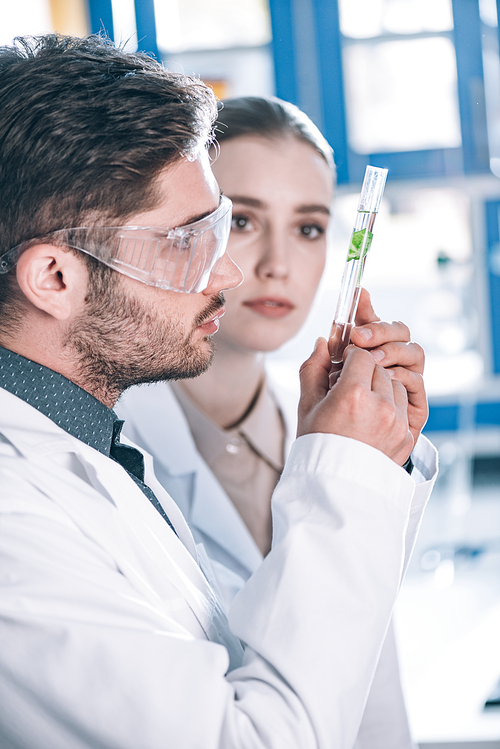 selective focus of bearded scientist in goggles looking at test tube with plant near attractive coworker