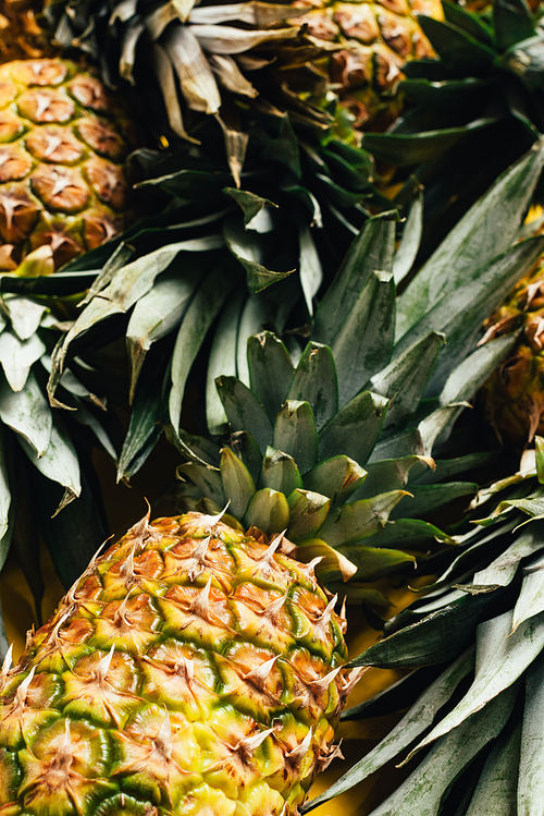 selective focus of fresh ripe pineapples with green leaves