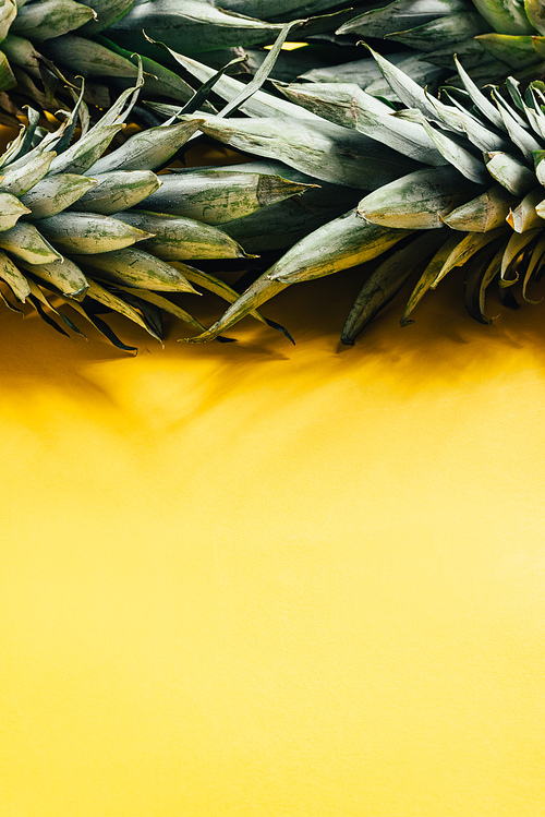 green pineapple leaves on yellow background with copy space