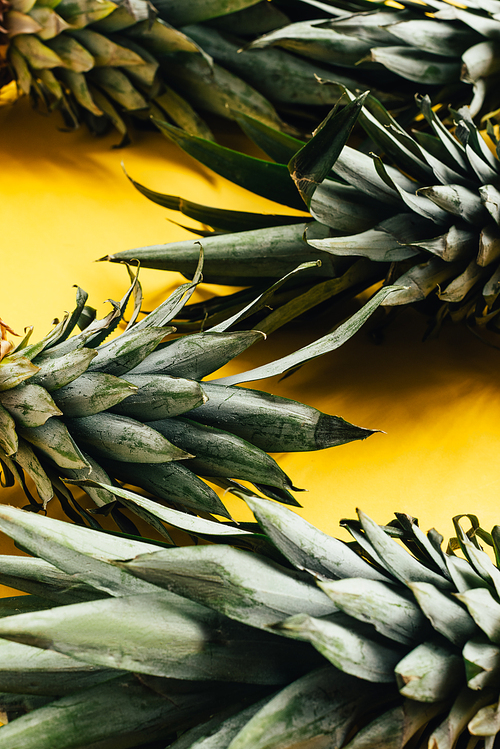 green pineapple leaves on yellow background