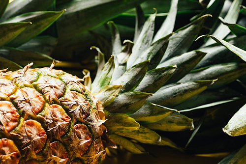 close up view of fresh ripe pineapple with green leaves