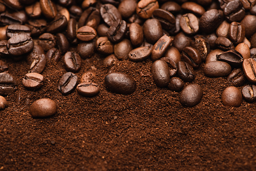 top view of fresh roasted coffee beans and ground coffee