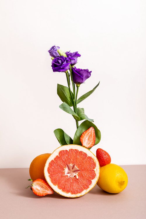 floral and fruit composition with purple eustoma and summer fruits isolated on beige