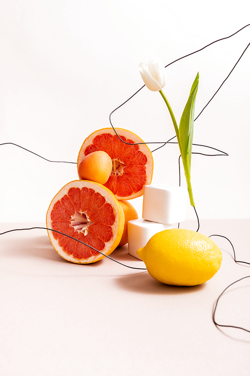 floral and fruit composition with tulip on wire and citrus fruits near cubes isolated on beige